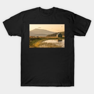 'The Grouse and The Midges', Glen Quaich, near Kenmore. T-Shirt